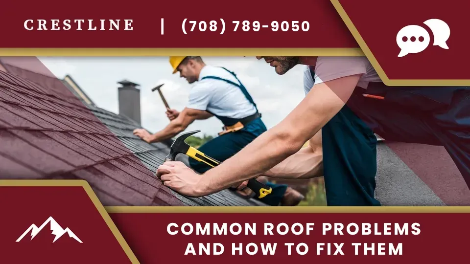 common-roof-problems-how-to-fix-il