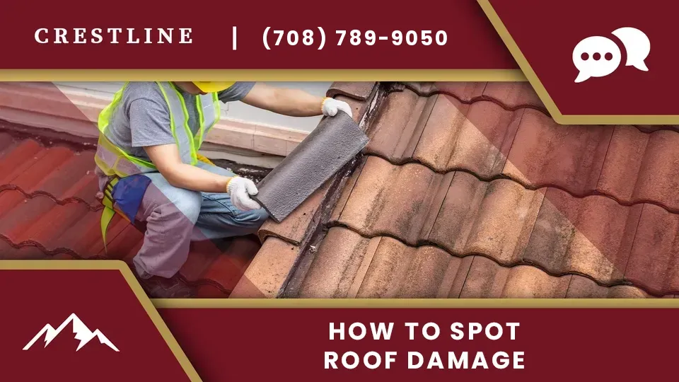 how-to-spot-roof-damage-after-storm-il