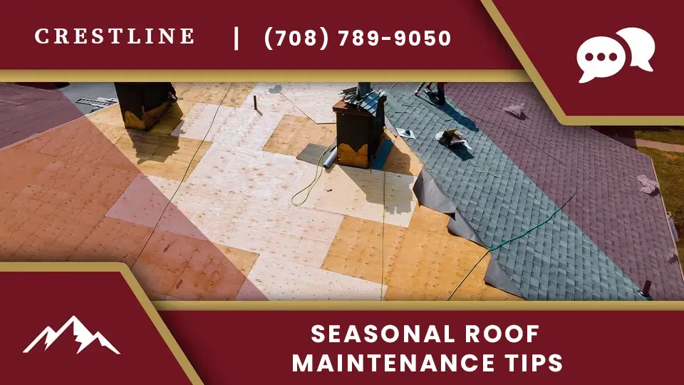 roof-maintenance-tips-il