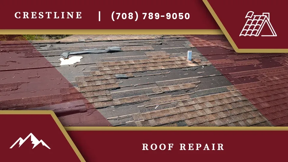 roof-repair-il